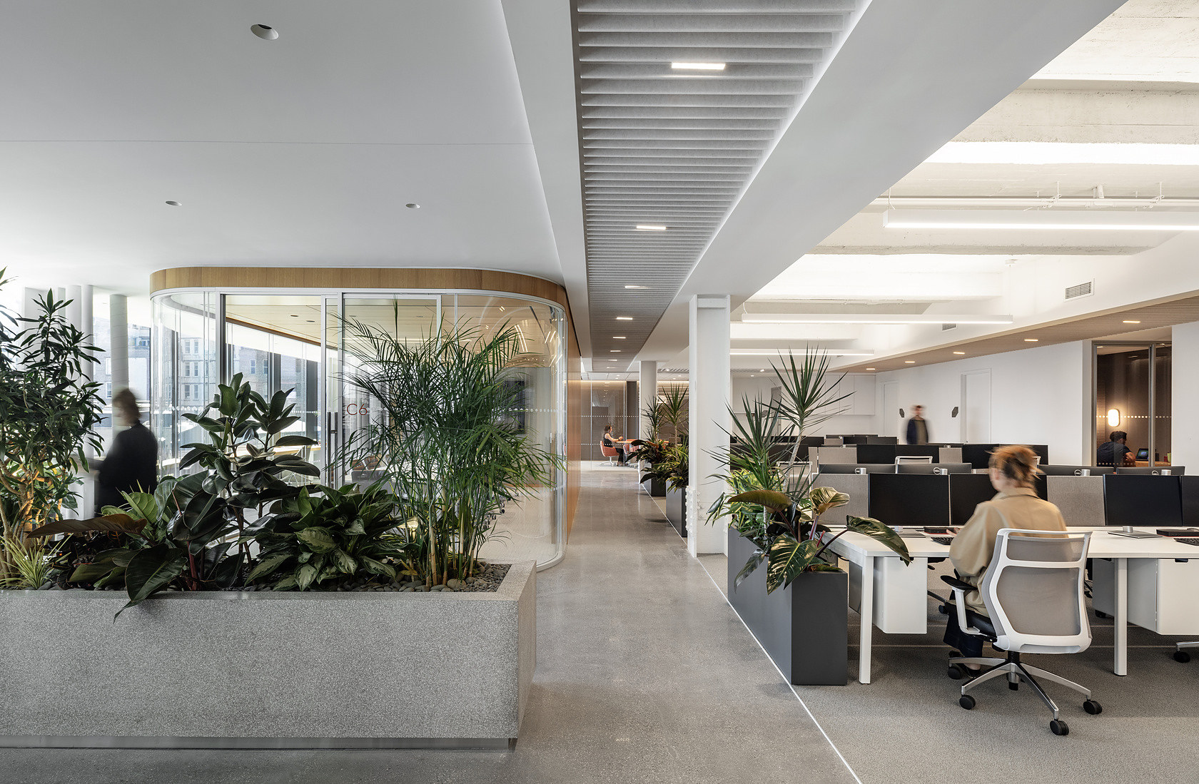 Prosek Offices in NoMad, office interior in Manhattan built by AIK Renovations, New York general contractor (photo 6 of 9)